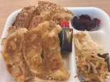 豚ギョーザ弁当 Pork Dumpling Bento Box（魚市場直接仕入れの店やましょう）