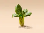 チンゲン菜(40g) / 青更菜（小谷姐姐 マーラータン(森ノ宮店)）
