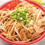 がっつりスタ肉丼(メガ盛りマンモス弁当 吹田店)