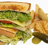 vegetarian(ベジタリアン)(LINCOLN)