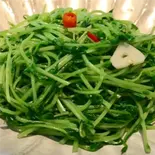 豆苗炒め Pea Shoot Stir-Fry（中華料理 ハオツー）