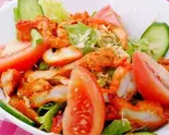 カナパニスペシャルサラダ Khanapani Special Salad(カナパニインドネパール料理)