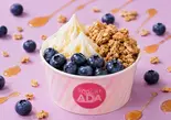 ブルーベリーコンボ Blueberry Combo 블루베리 콤보（アサイーボウル＆ヨーグルトアイス専門店）