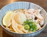肉おろしぶっかけうどん（自家製麺うどん 下かまた村）