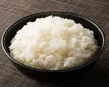【単品】大ライス300g（トリカモメ ～鶏と鴨と麺～）