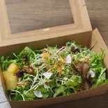 オーガニック野菜のサラダBOX(レインボーバードランデヴー)