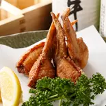 美味!手羽先ギョーザ(1本)(四季旬彩 料理人が魅せる神田和食店 桃源郷)