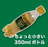 【ちょっと小さい350mlペットボトル】ジンジャーエール（お好み焼 焼きそば 鉄板焼き もず OKONOMIYAKI MOZU）