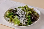 しらすのサラダ Whitebait Salad（濃厚たらこパスタ「たらこと私」 上平間店）