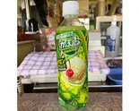 メロンソーダ（中崋苑）