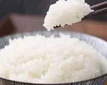 ゴゴノライス 並 (210g~)(GOGONOEATS)