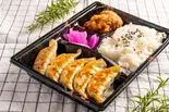 餃子弁当(餃子の点点)