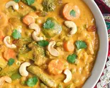 Vegetable Kurma ベジタブル クルマ 1300円(ニルワナム 南インド料理レストラン 神谷町店 Nirvanam South Indian restaurant Kamiyacho branch)