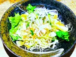 鶏肉とキャベツのしそ風味ドレッシングサラダ(餃子工房ちびすけ 梅田総本店)