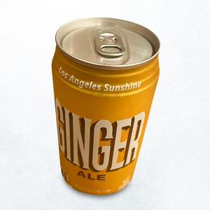 ニュータージマハルエベレスト ジンジャーエール Ginger ale