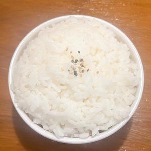 ライス