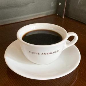 コーヒー ホット COFFEE HOT