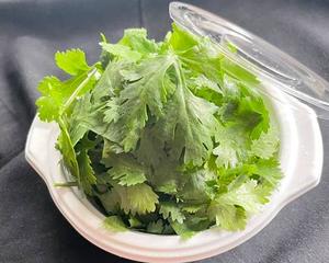 パクチーシャワー Extra Coriander