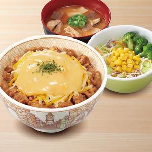 3種のチーズ牛丼とん汁サラダセット