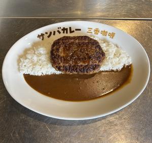 ハンバーグカレー Hamburg steak curry