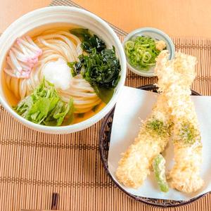 冷し穴子天うどん