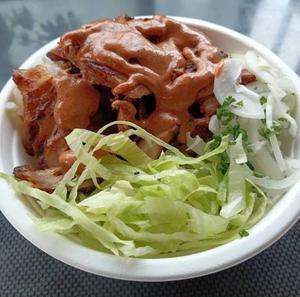 Kebab Don ケバブ丼