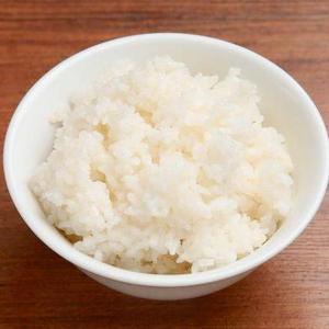 しろごはん White Rice