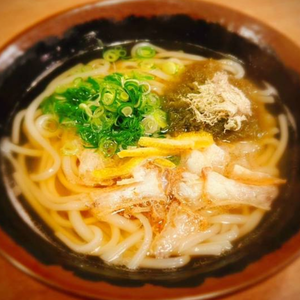 特製出汁の肉うどん