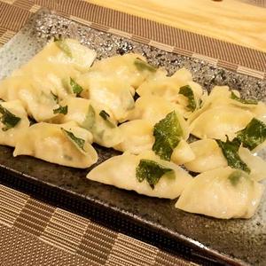 しそ餃子 16個