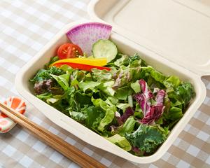 選べるドレッシング彩り野菜サラダ