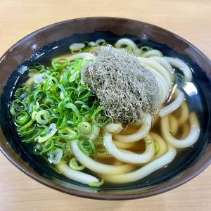 こぶうどん