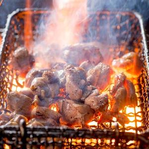 セセリの炙り焼き
