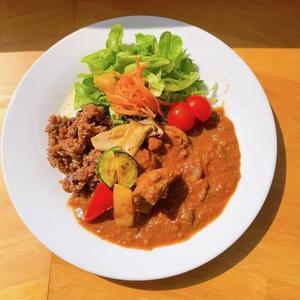 醗酵ミネラルチキンカレー