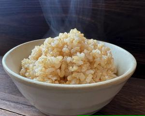 国産コシヒカリの鶏の出汁を効かせた玄米ごはん【漬物付き】