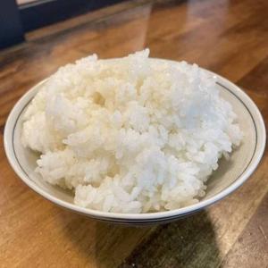 ライス(大)