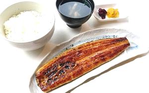 鰻 1尾入