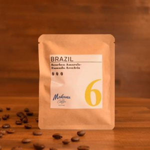 DB⑥BRAZIL -中煎り-