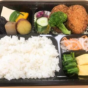 大分県名物ぎょろっけ弁当 Famous Oita Prefecture Fish Croquette Bento Box