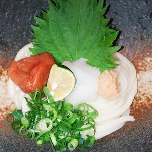 梅しそおろしぶっかけうどん(温 冷)