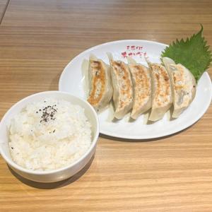 しそ餃子弁当(お新香・サラダ付き)
