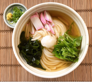 冷しかけうどん