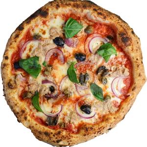 Pizzaトンノ