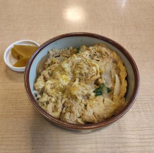 カツ丼ミニ