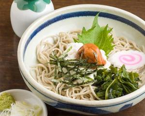冷やし梅とろろ (そばorうどん) Cold Ume and Grated Yam Set (Soba or Udon)