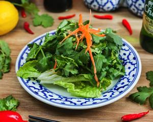 パクチーサラダ Coriander Salad