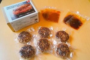真空冷凍ハンバーグ※ソース付き(110g×6食分)