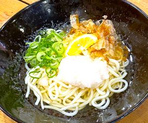 冷やしおろしうどん
