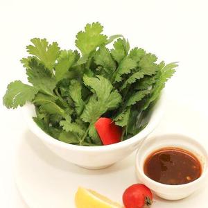 パクチーサラダ/Pakchi Salad