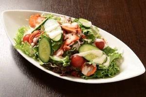 マナスルスペシャルサラダ manaslu special salad