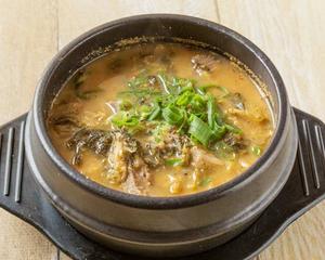 シレギ ハーフ